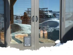 Custom Dog Door to Porch